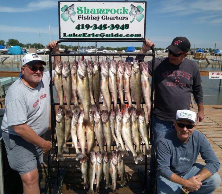 Walleye Trips on Lake Erie